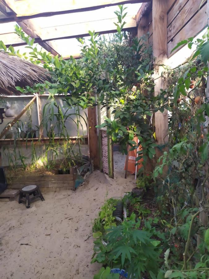 Casa Candombe Y Mar 바라 데 발리자스 외부 사진