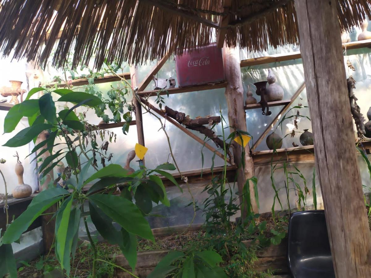 Casa Candombe Y Mar 바라 데 발리자스 외부 사진